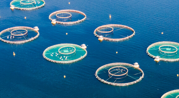 Marine / freshwater aquaculture